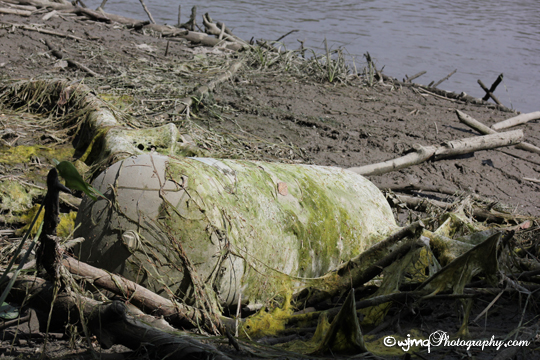 beaverdam_watertank_IMG_4284