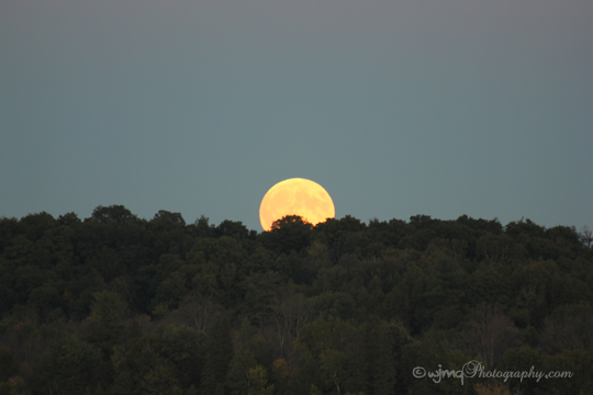 fullmoonrising_IMG_5417