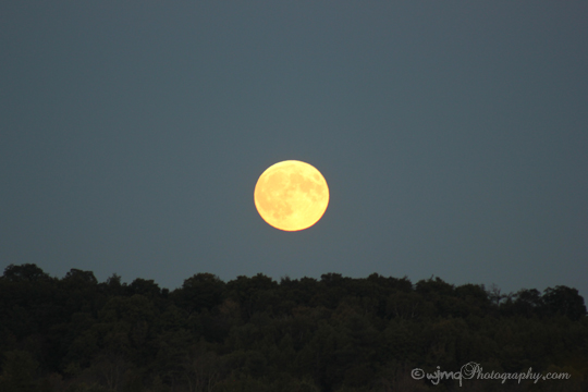 fullmoonrising_IMG_5436