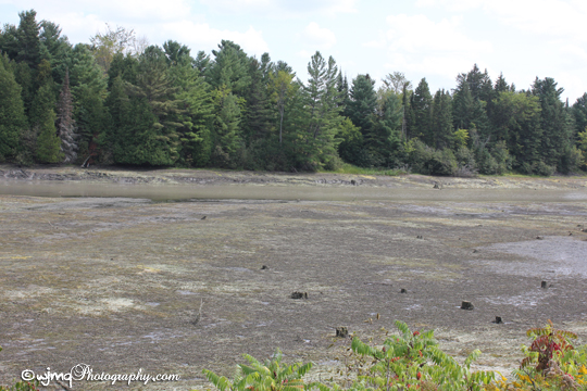 in front of my place IMG_4520