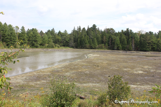 in front of my place IMG_4522