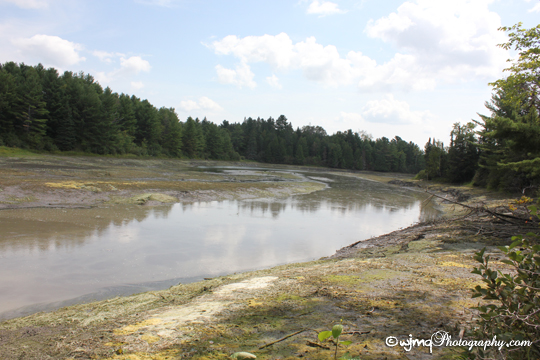 oldriverbed_IMG_4352