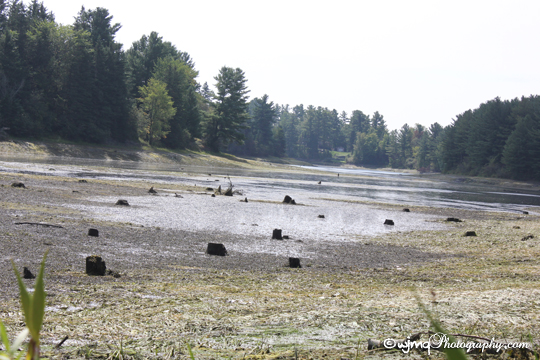 riverlookingsouth_IMG_4236