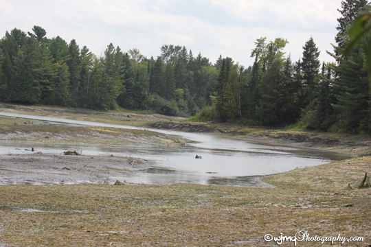the old river bed looking south IMG_4472