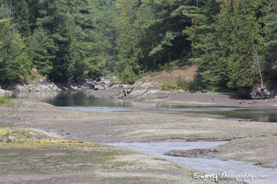 towards_narrows_IMG_4368