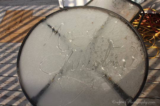 merry christmas in frost_IMG_6968