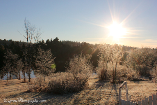 sunny_frosty_day_IMG_6940