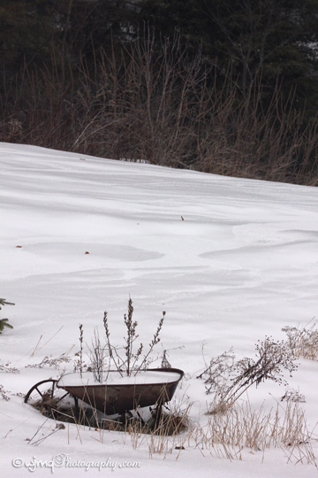wheelbarrel_ice_IMG_7941
